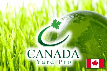 Lawn Fertilization Edmonton Edmonton