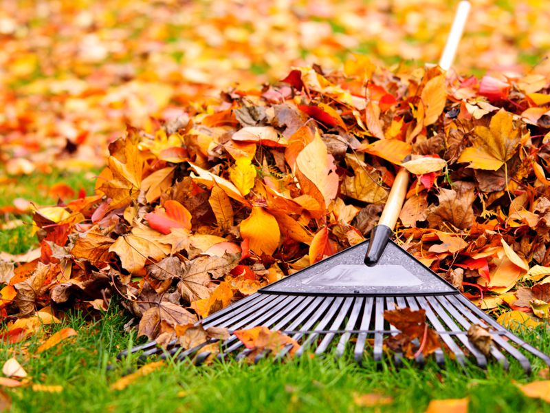 Fall Clean-up Calgary