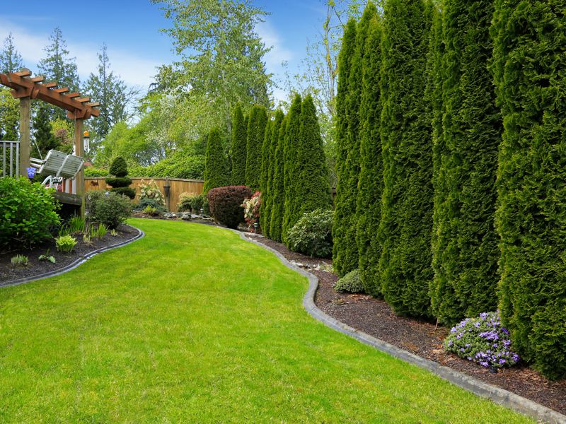 Lawn Fertilization Calgary