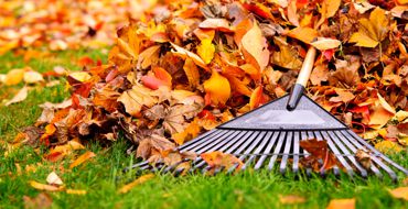 Fall Clean-Up Calgary