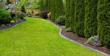 Lawn Fertilization Calgary